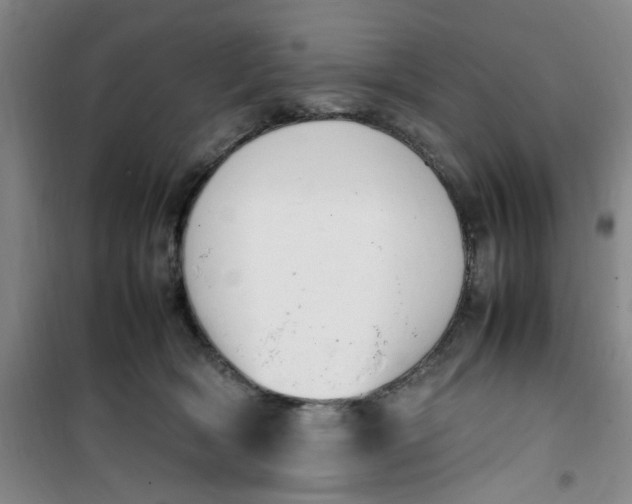 X0000100980418200807151420