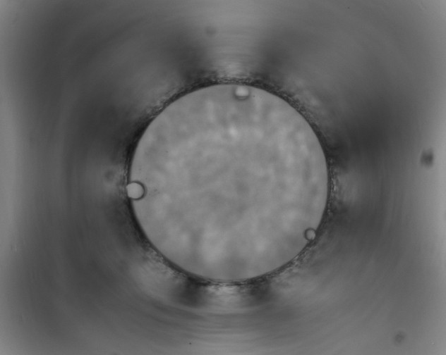 X0000100980419200807151420