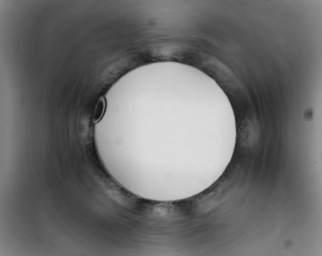 X0000100980420200807151420