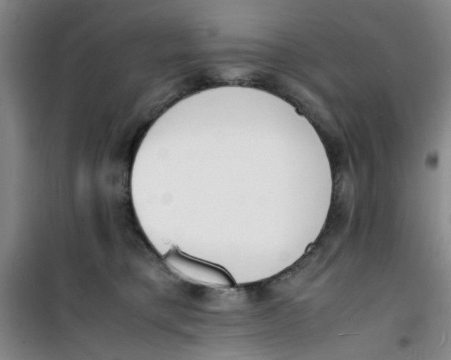 X0000100980421200807151420