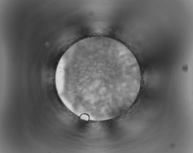 X0000100980423200807151420