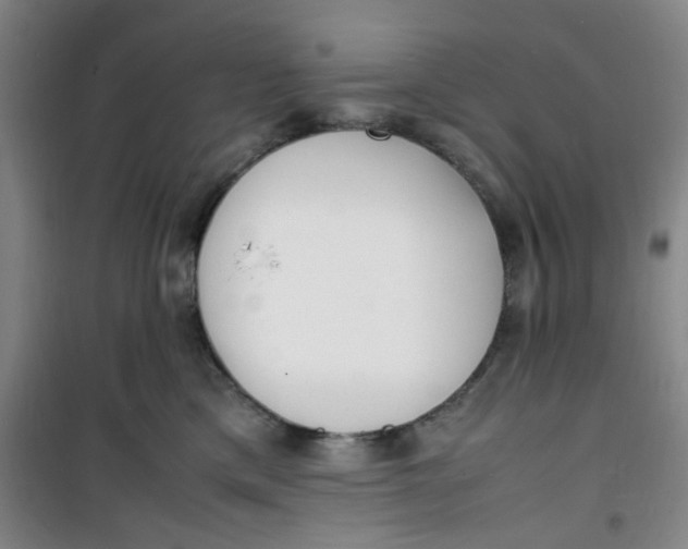 X0000100980425200807151420