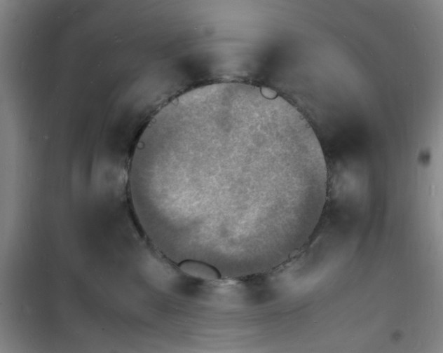 X0000100980427200807151420