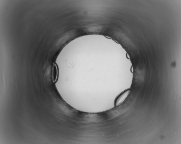 X0000100980428200807151420