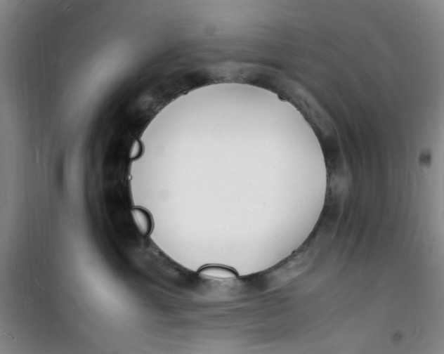 X0000100980429200807151420