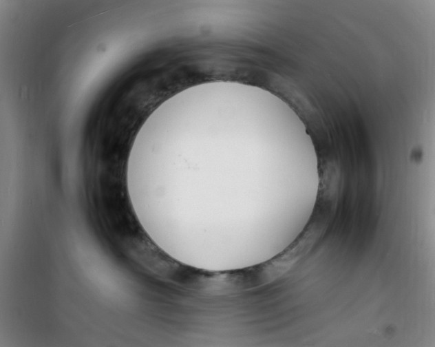 X0000100980430200807151420