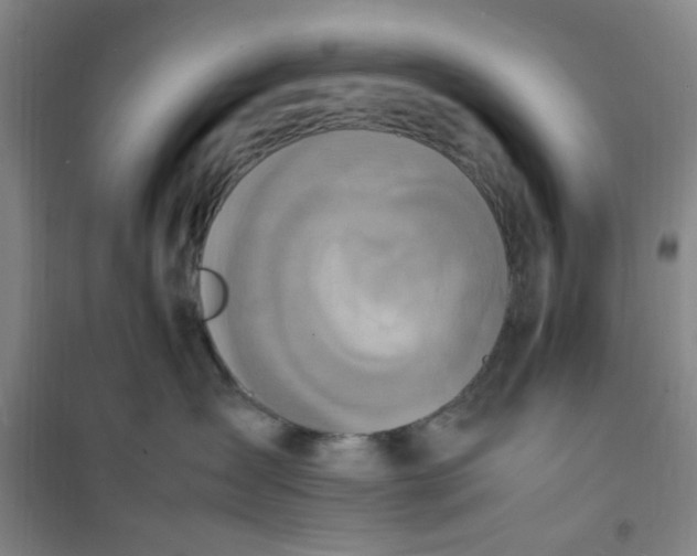 X0000100980431200807151420