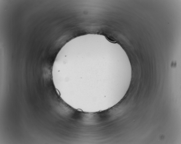 X0000100980432200807151420