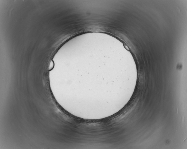 X0000100980433200807151419