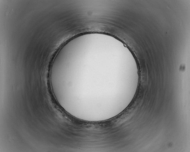 X0000100980434200807151419