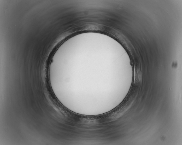 X0000100980435200807151419