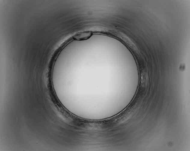 X0000100980436200807151419