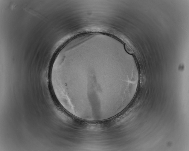 X0000100980438200807151419