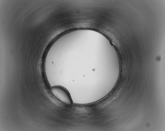 X0000100980439200807151419