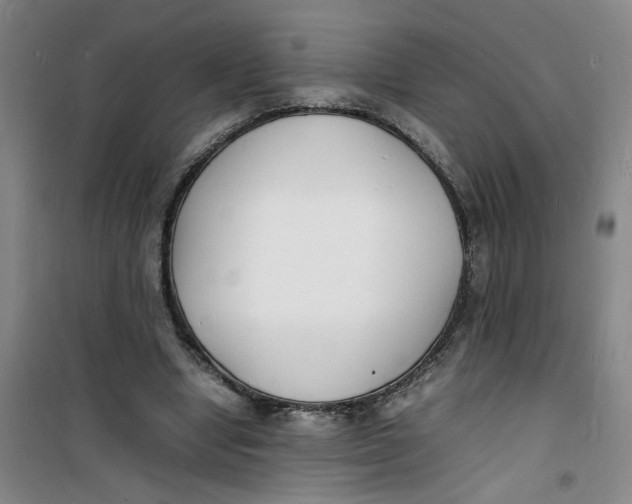 X0000100980442200807151419