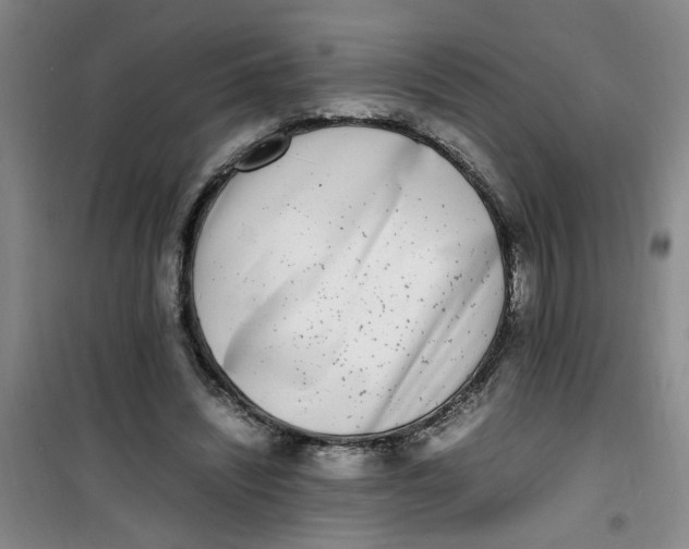 X0000100980444200807151419