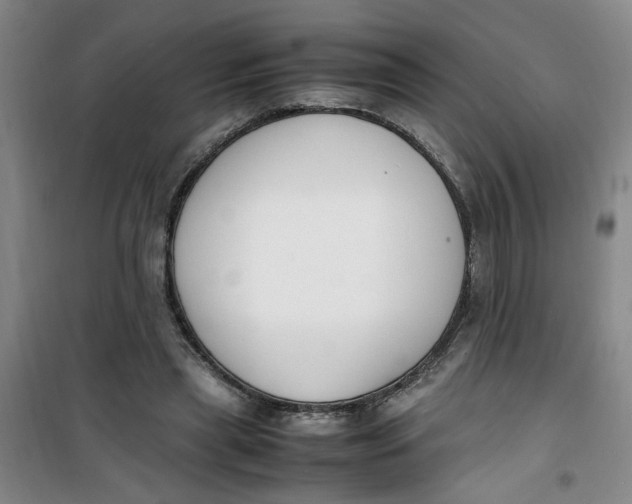 X0000100980445200807151419