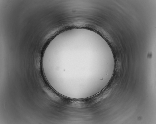 X0000100980446200807151419