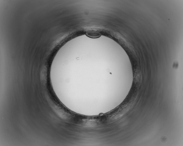 X0000100980448200807151419