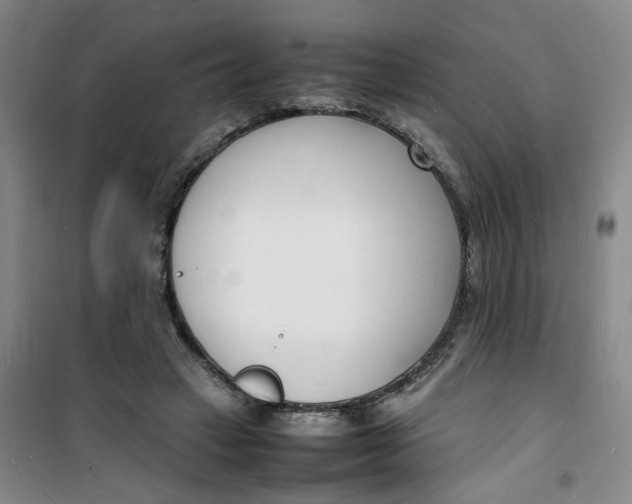 X0000100980449200807151419