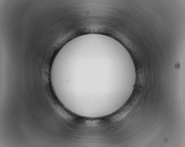 X0000100980450200807151419