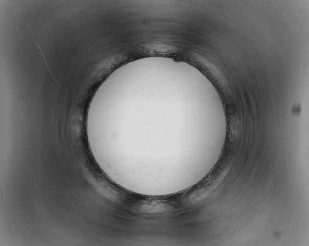 X0000100980451200807151419