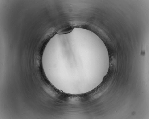 X0000100980452200807151419