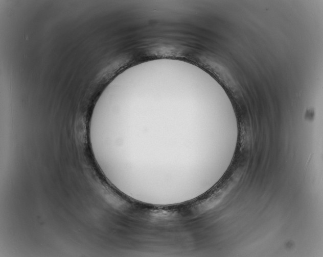 X0000100980453200807151419