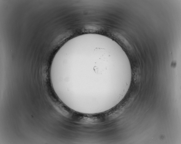 X0000100980455200807151419