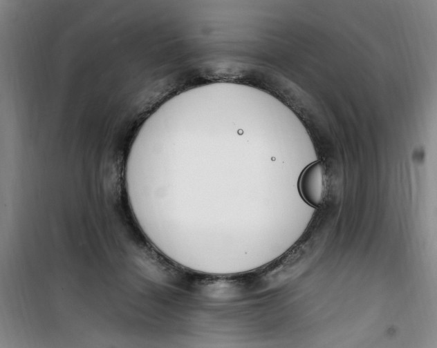 X0000100980460200807151419