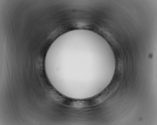 X0000100980461200807151419