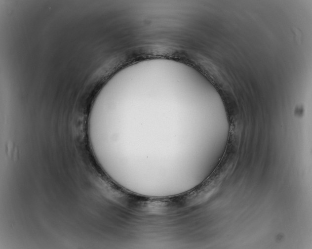 X0000100980462200807151419