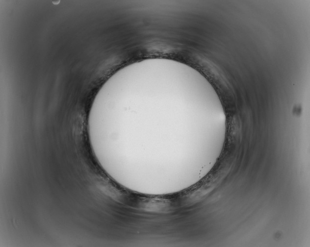 X0000100980463200807151419