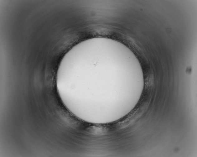 X0000100980464200807151419