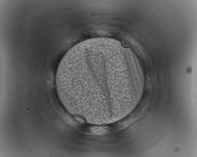 X0000100980465200807151419