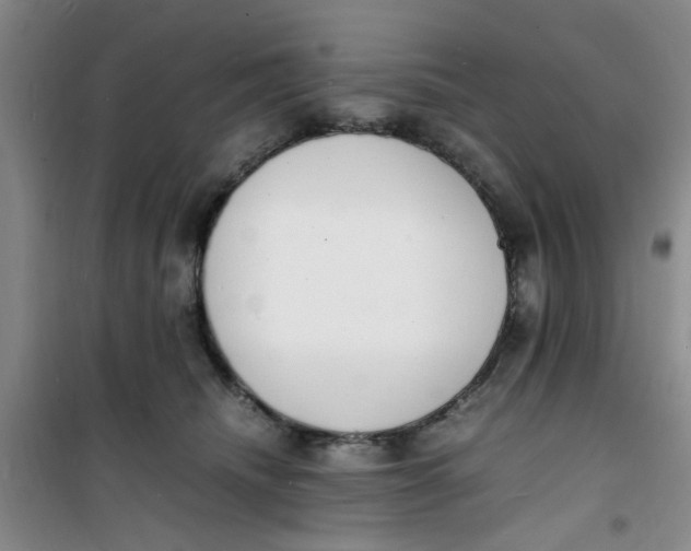 X0000100980468200807151419