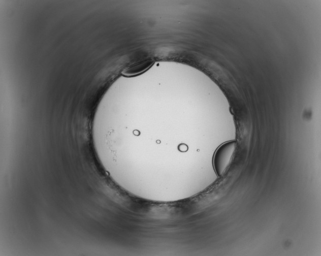 X0000100980470200807151419