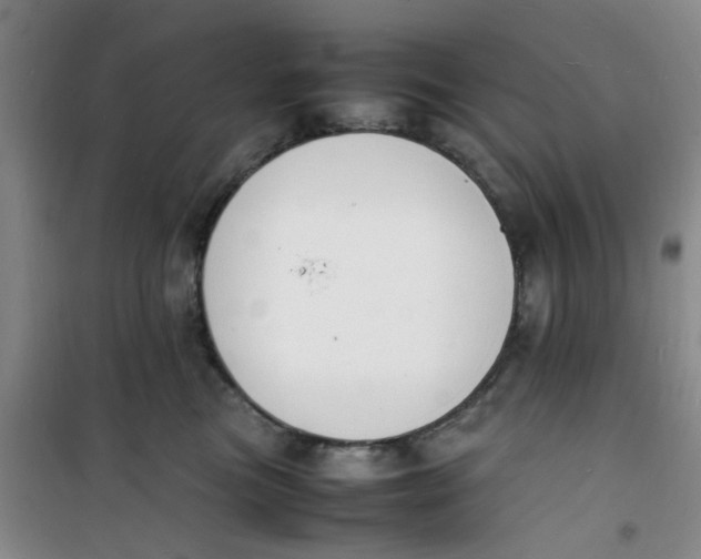 X0000100980473200807151419