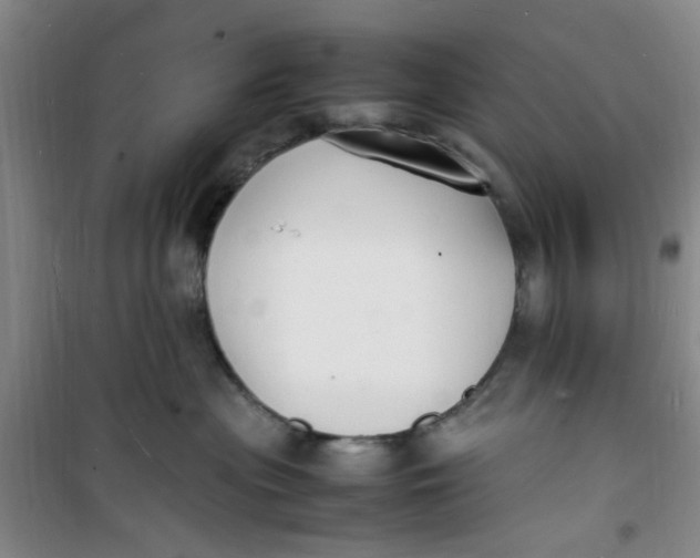 X0000100980477200807151420