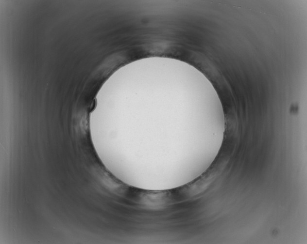 X0000100980479200807151420