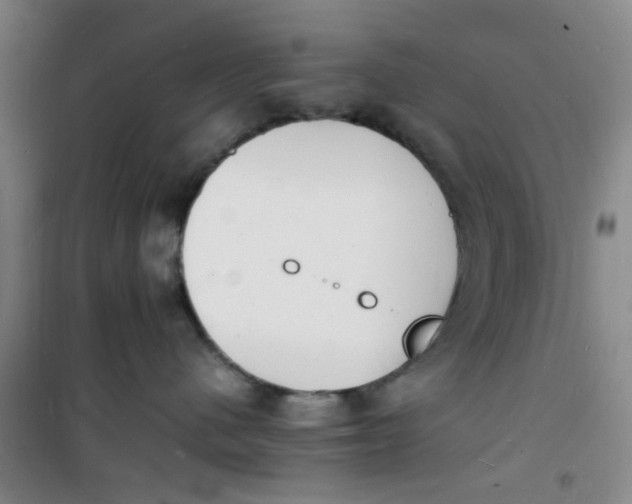 X0000100980480200807151420