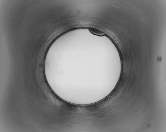 X0000100980481200807151419