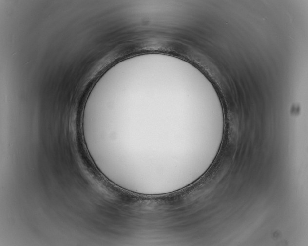 X0000100980482200807151419