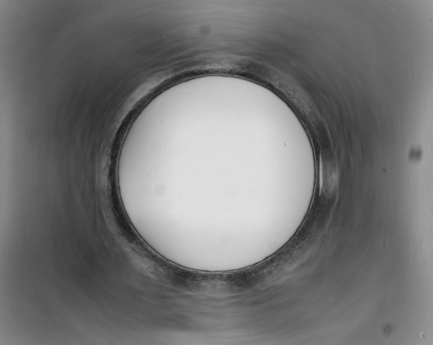 X0000100980483200807151419