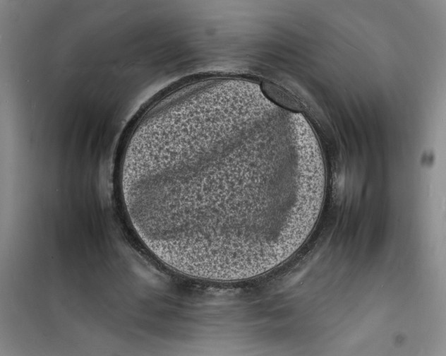 X0000100980484200807151419