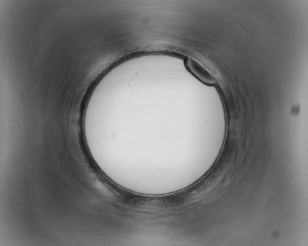 X0000100980485200807151419