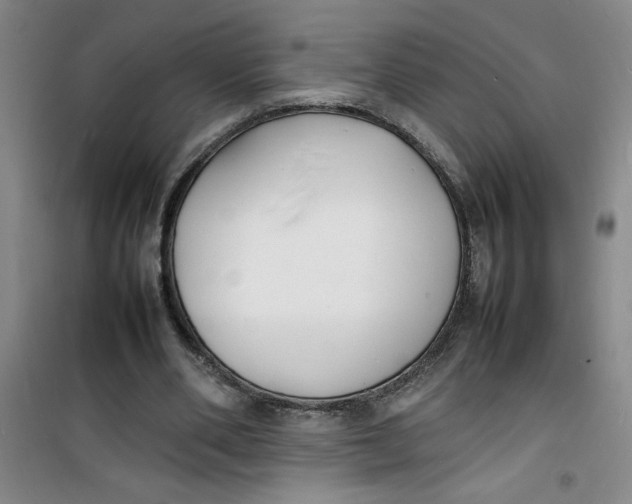 X0000100980486200807151419