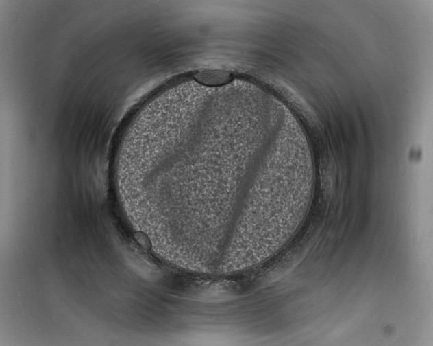 X0000100980488200807151419