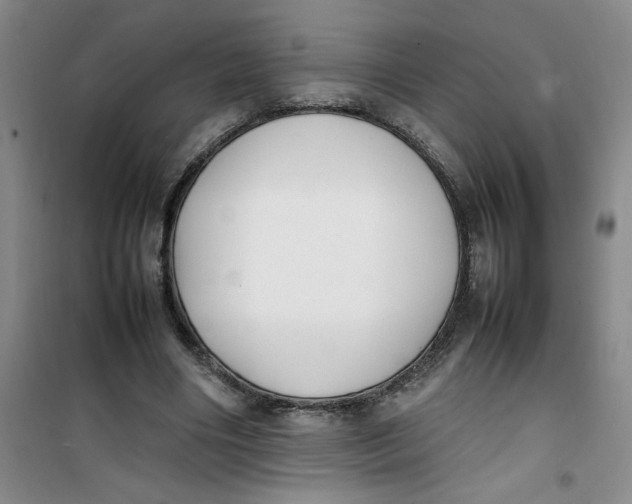 X0000100980490200807151419