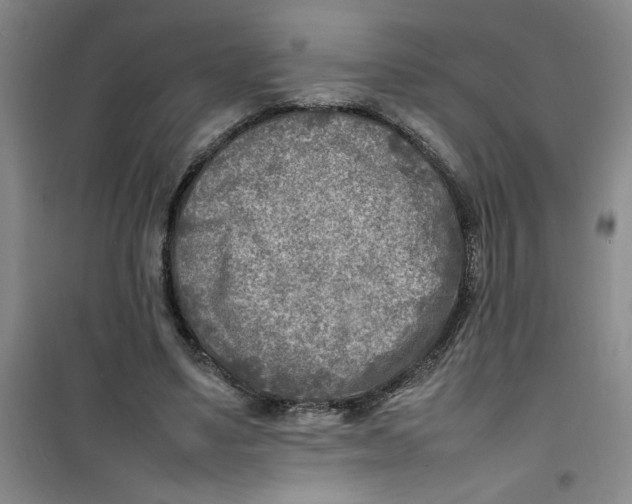 X0000100980491200807151419